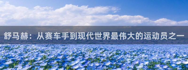 24体育赛事直播免费观看