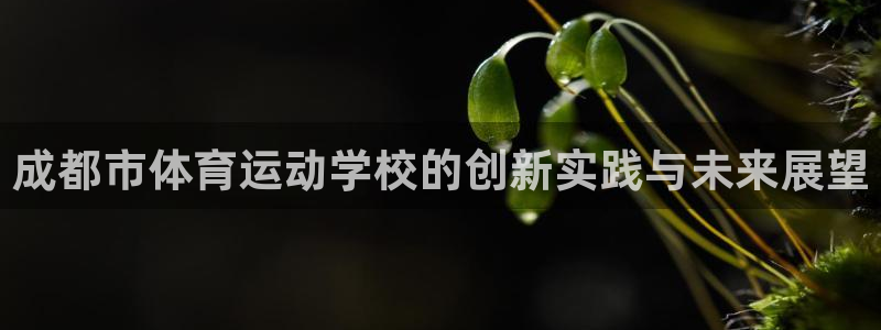24体育赛事免费直播：成都市体育运动学校的创新实践与未来展望