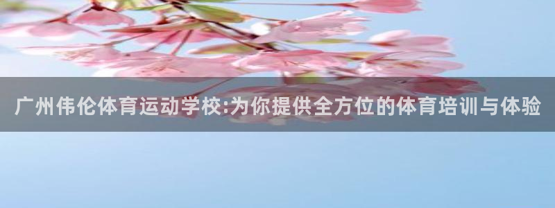 2024体育比赛