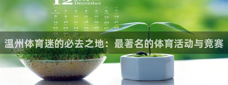 24体育吧