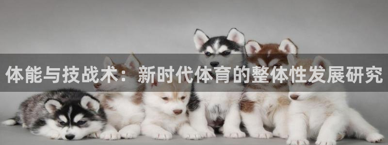 24体育免费视频直播：体能与技战术：新时代体育的整体性发展研究